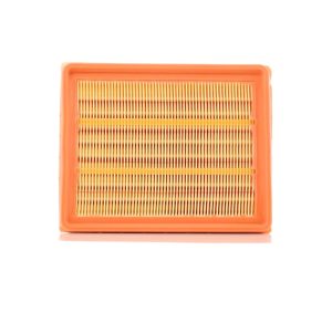 Filtro de Aire Peugeot Partner 1.9 2001-2007 / Citroen Berlingo 1.9 2000-2006 OEM 1444-CA